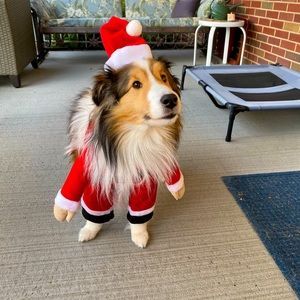 Adorable Santa Pet Costume